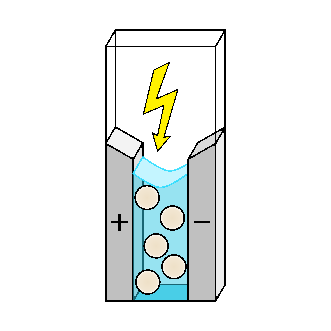 Icon representing the file Electroporation of Aiptasia zygotes