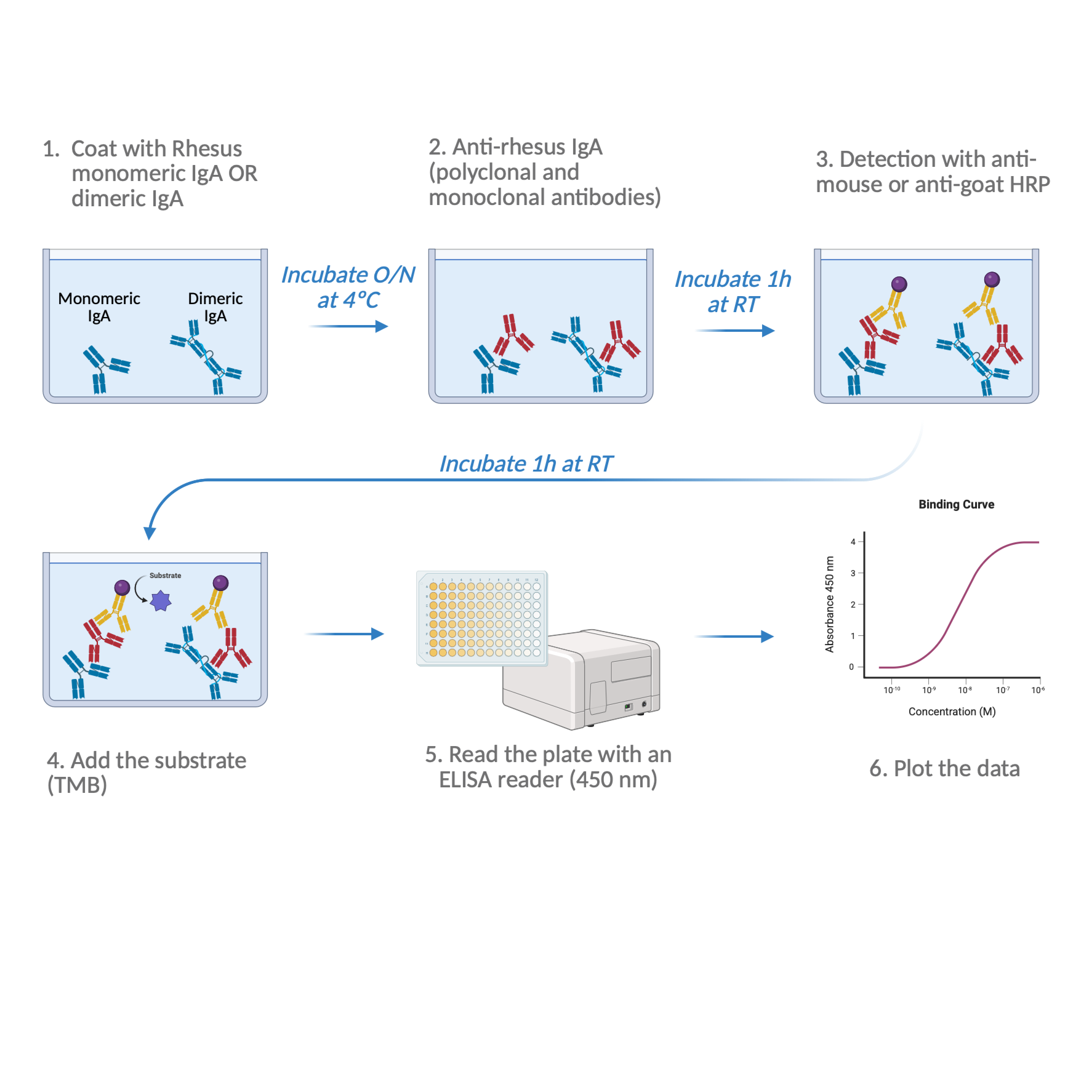 QCSOP25-2: Identification of Anti-Rhesus IgA by Direct and Indirect ELISA