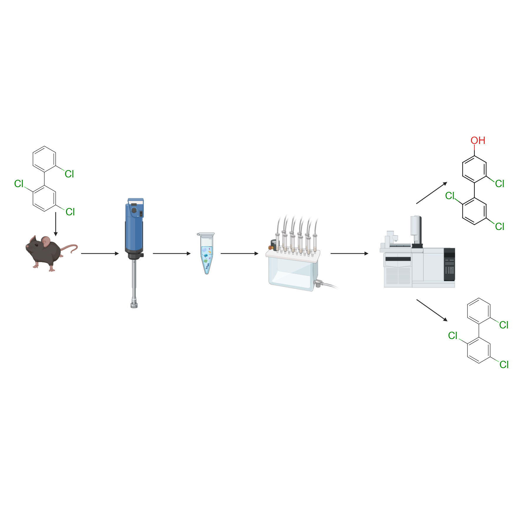 Extraction of PCB18 (2,2',5-Trichlorobiphenyl) and Its Hydroxylated Metabolites from Animal Tissues v2