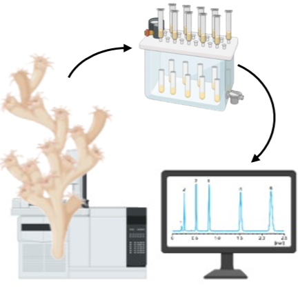 Selective Isolation of Lipid Classes from cold-water corals via SPE for Quantitative Fatty Acid Profiling