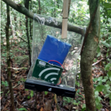 Acoustic Sampling Protocol