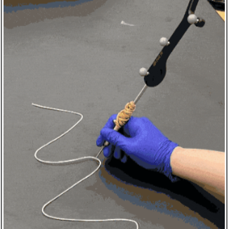 REVA #6: 3D Tracing of Cadaveric Human Vagus Nerves