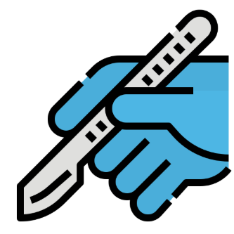 REVA #5: Dissecting and Measuring Cadaveric Human Vagus Nerves
