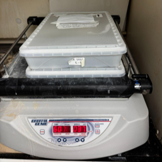 REVA #8: Phosphotungstic Acid (PTA) Staining of Cadaveric Human Vagus Nerves