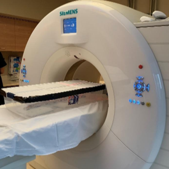 REVA #9: Computed Tomography (CT) of Excised Cadaveric Human Vagus Nerves