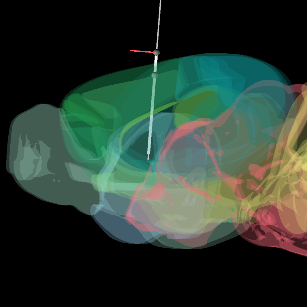 Acute Neuropixels Recording Through a 3D Printed Implant