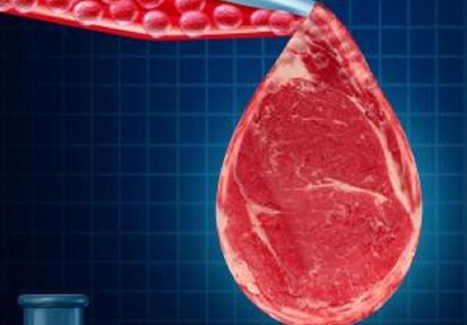 Slos Meat FDA (Finally) Slots Alt-Meat Summit
