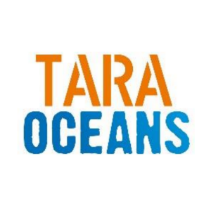 Nucleic acids preparations